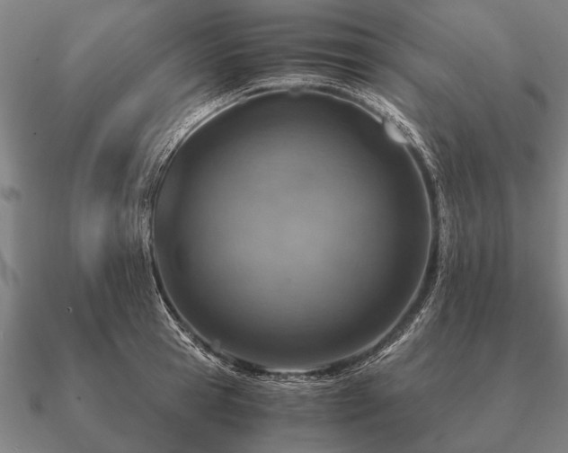 X0000090900945200708061501