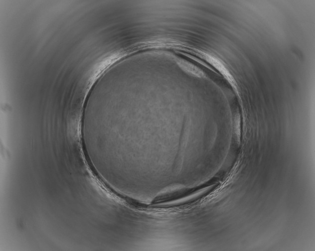 X0000090900946200708061501