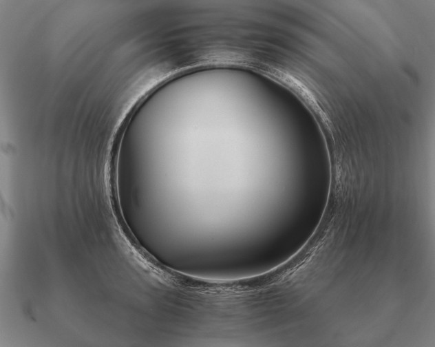 X0000090900947200708061501