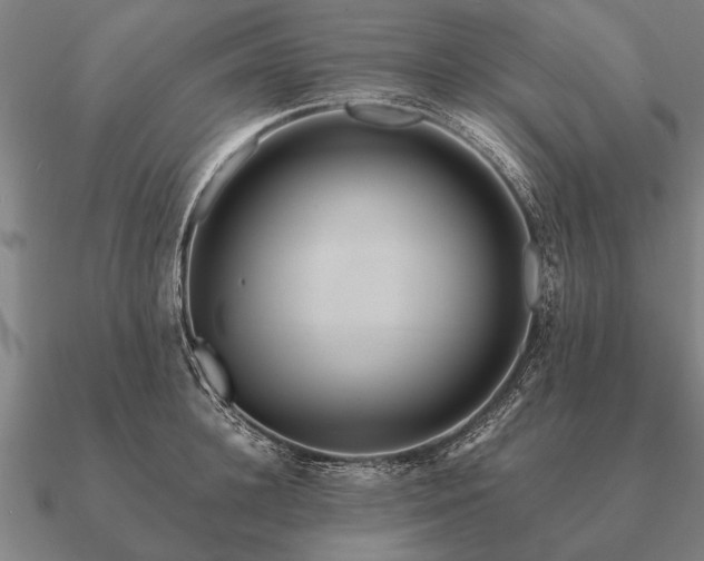 X0000090900948200708061501