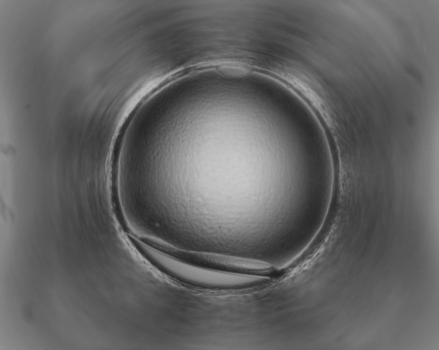 X0000090900949200708061501