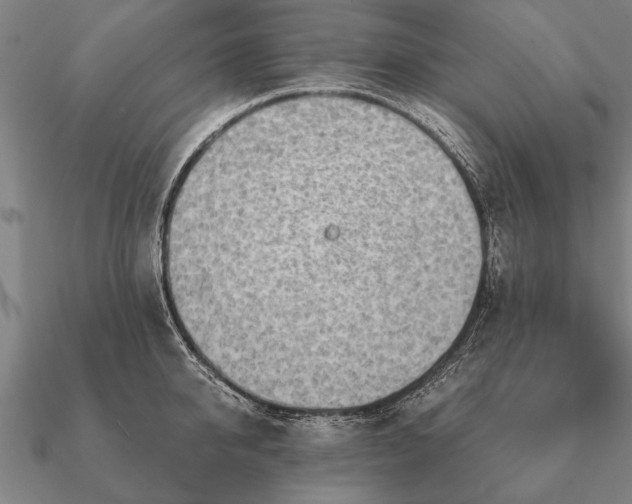 X0000090900950200708061501