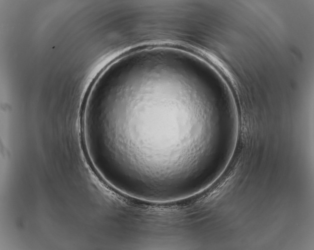 X0000090900951200708061501