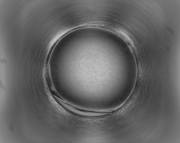 X0000090900952200708061501