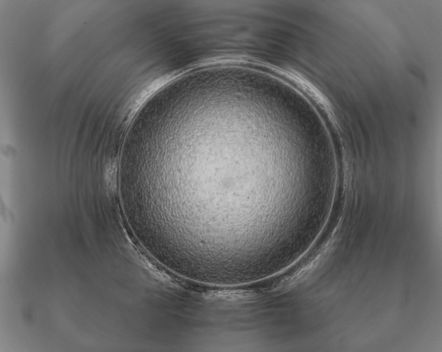 X0000090900953200708061501