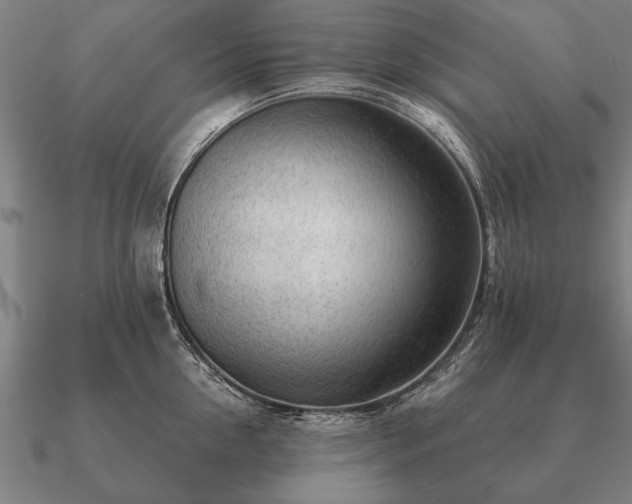 X0000090900954200708061501