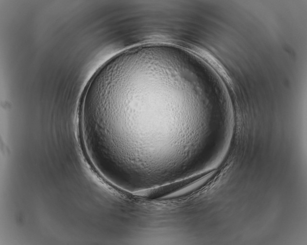 X0000090900955200708061501