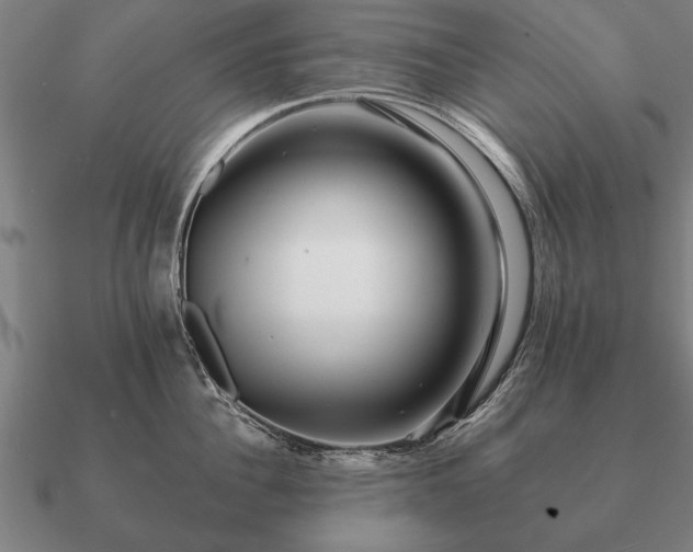 X0000090900956200708061501