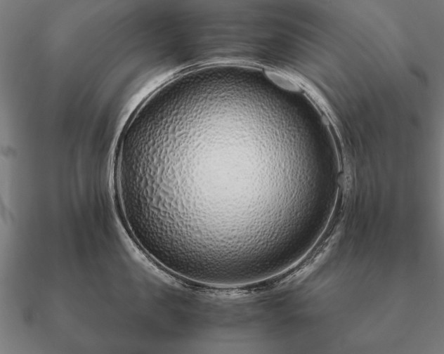 X0000090900957200708061501