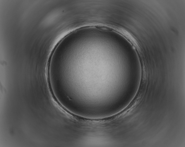 X0000090900958200708061501