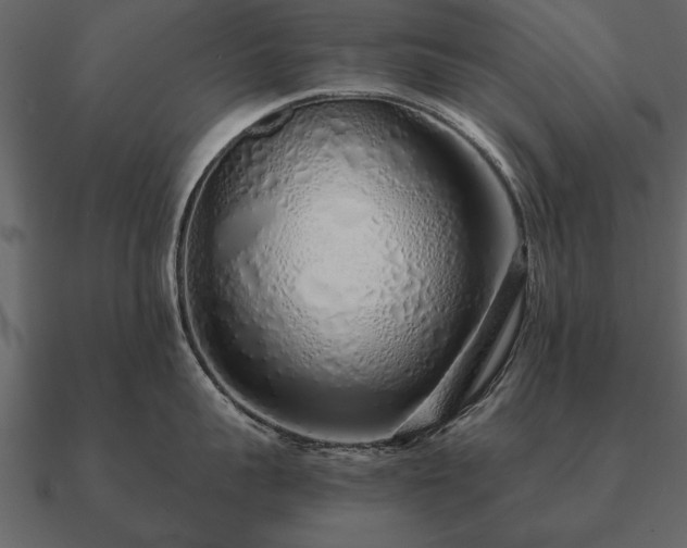 X0000090900959200708061501