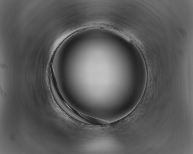 X0000090900960200708061501