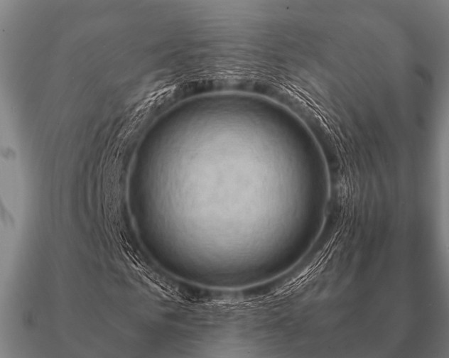 X0000090900961200708061501