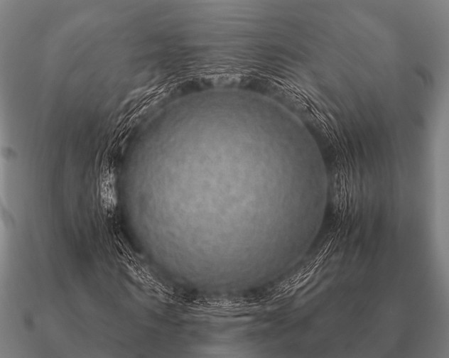 X0000090900962200708061501