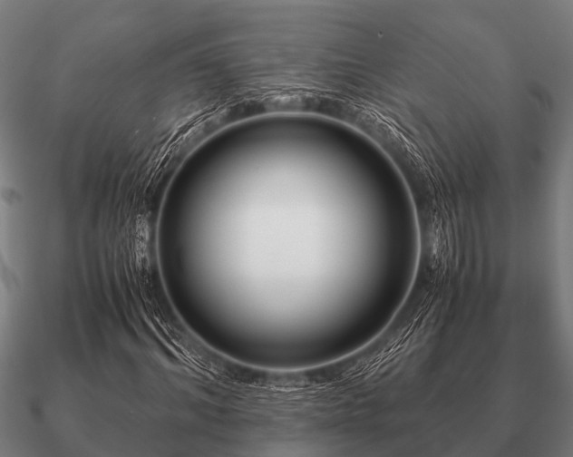 X0000090900964200708061501