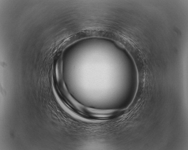 X0000090900965200708061501