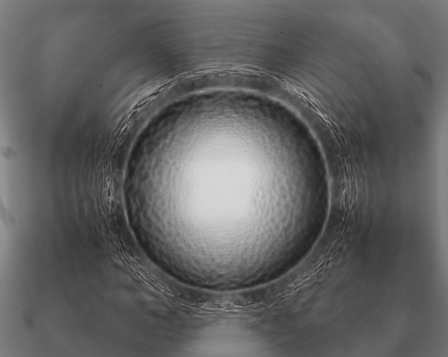 X0000090900966200708061501