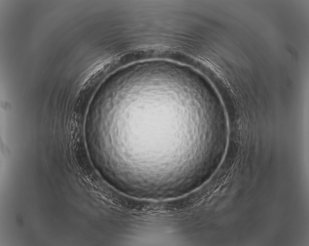 X0000090900967200708061501