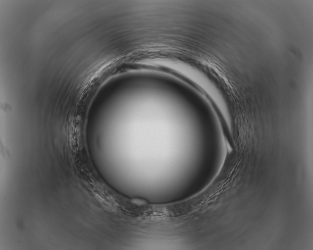 X0000090900968200708061501