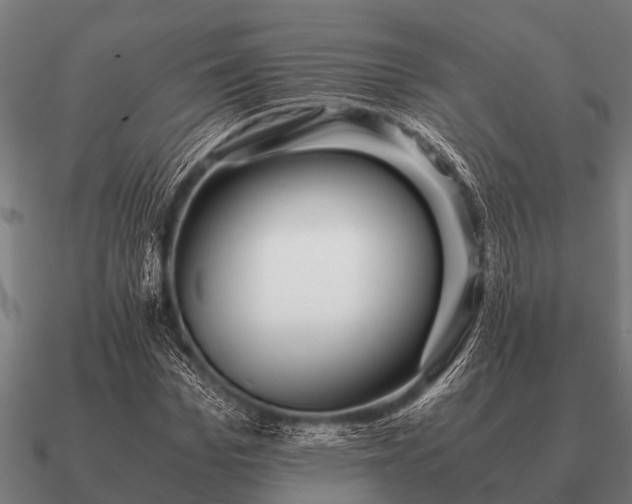 X0000090900969200708061501