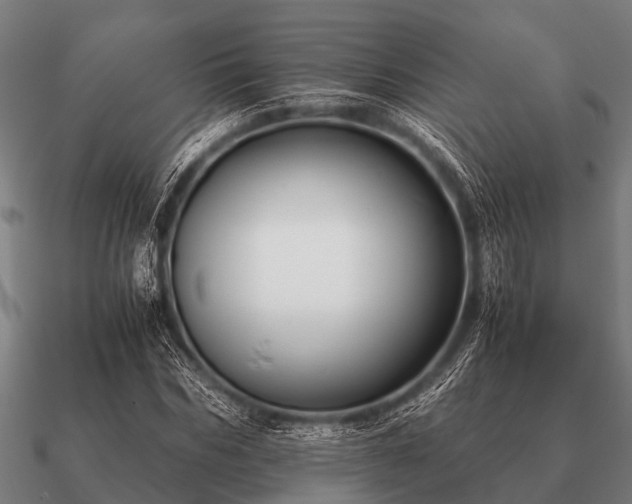 X0000090900970200708061501