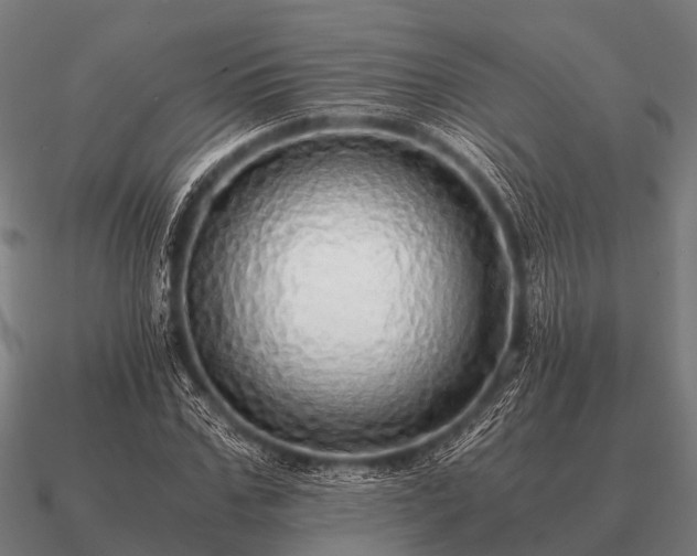 X0000090900971200708061501