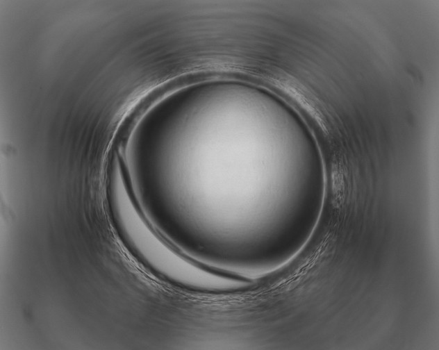 X0000090900972200708061501