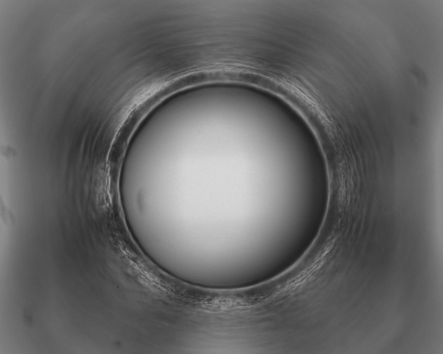 X0000090900974200708061501