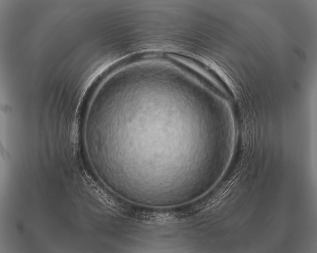 X0000090900975200708061501