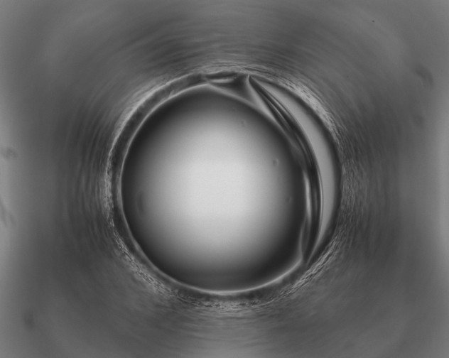 X0000090900976200708061501