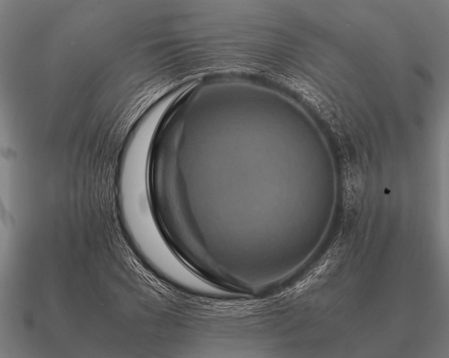 X0000090900977200708061501