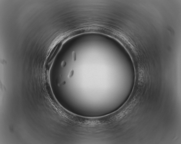 X0000090900978200708061501