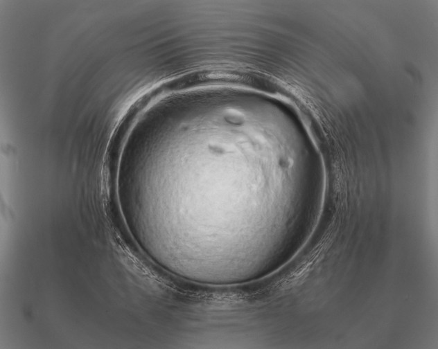 X0000090900979200708061501