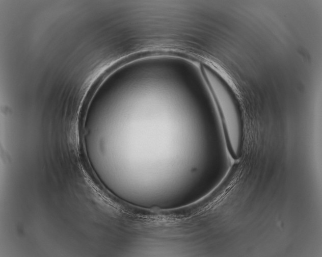 X0000090900980200708061501