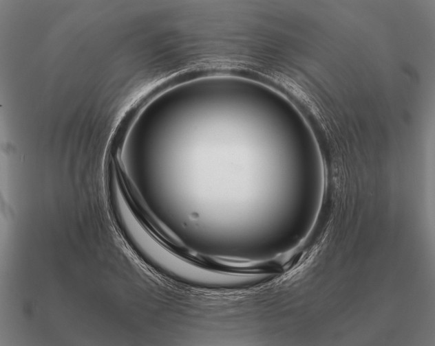 X0000090900981200708061501