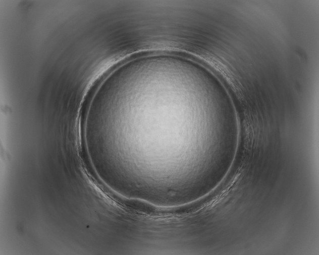 X0000090900982200708061501