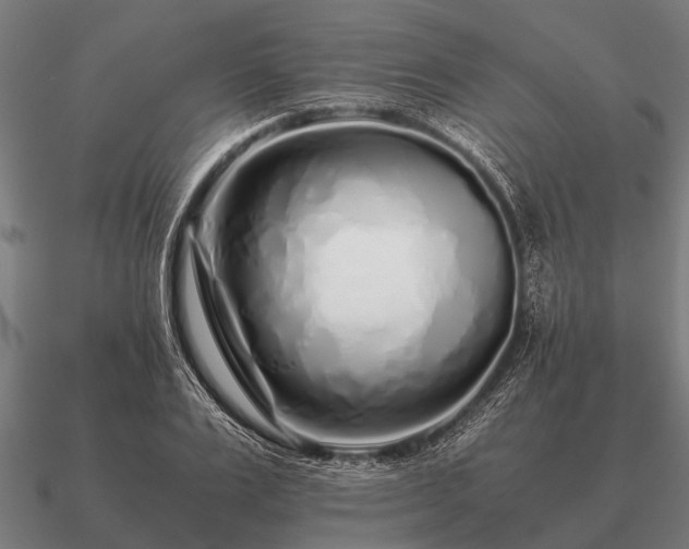 X0000090900983200708061501