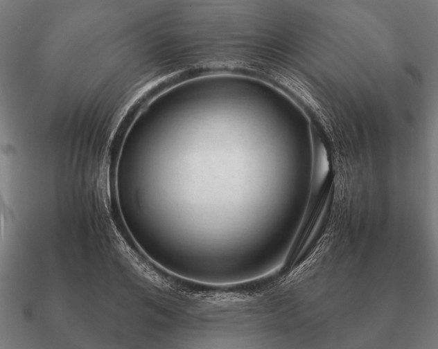 X0000090900984200708061501