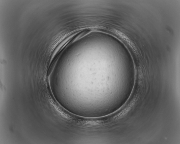 X0000090900985200708061501