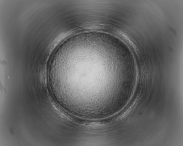 X0000090900986200708061501