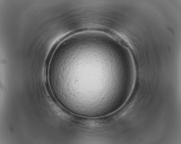 X0000090900987200708061501