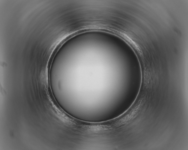 X0000090900988200708061501