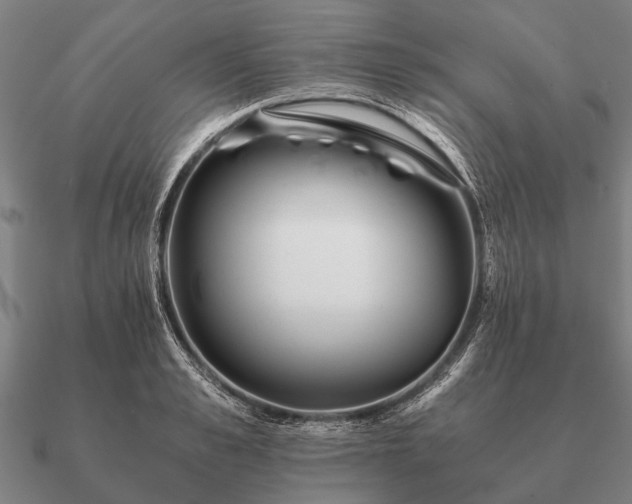 X0000090900989200708061501