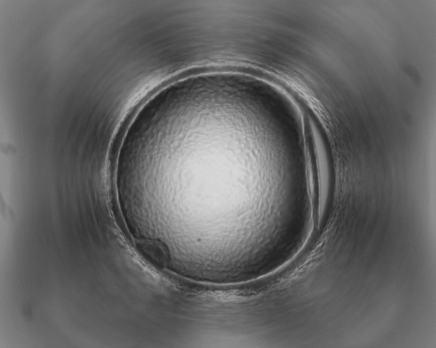 X0000090900990200708061501