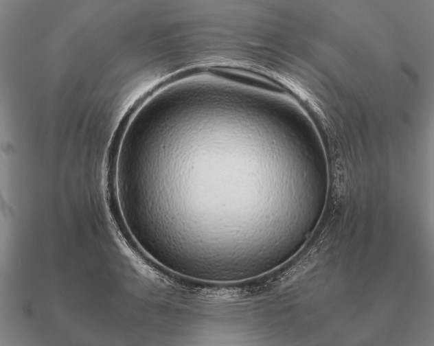 X0000090900991200708061501