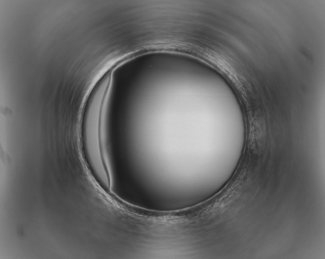 X0000090900992200708061501