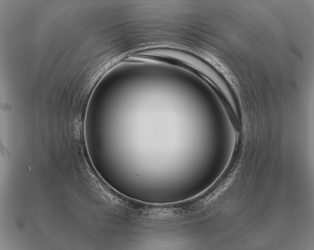 X0000090900993200708061501