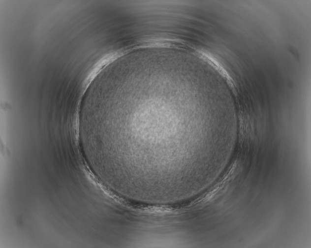 X0000090900994200708061501