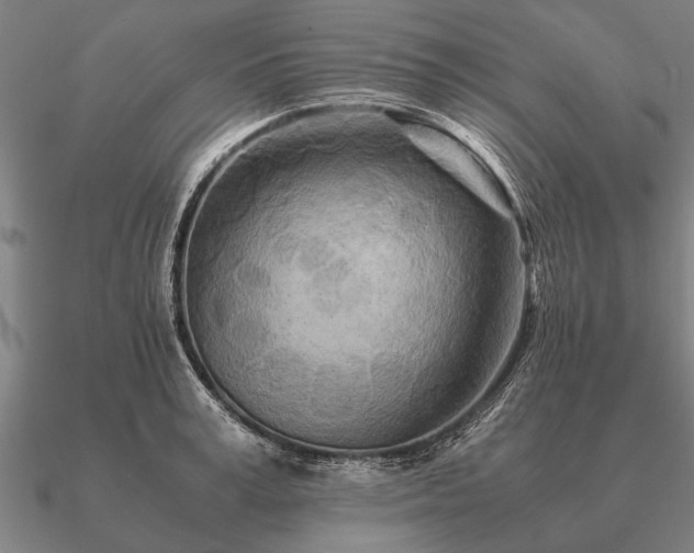 X0000090900995200708061501