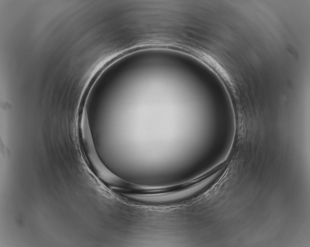 X0000090900996200708061501